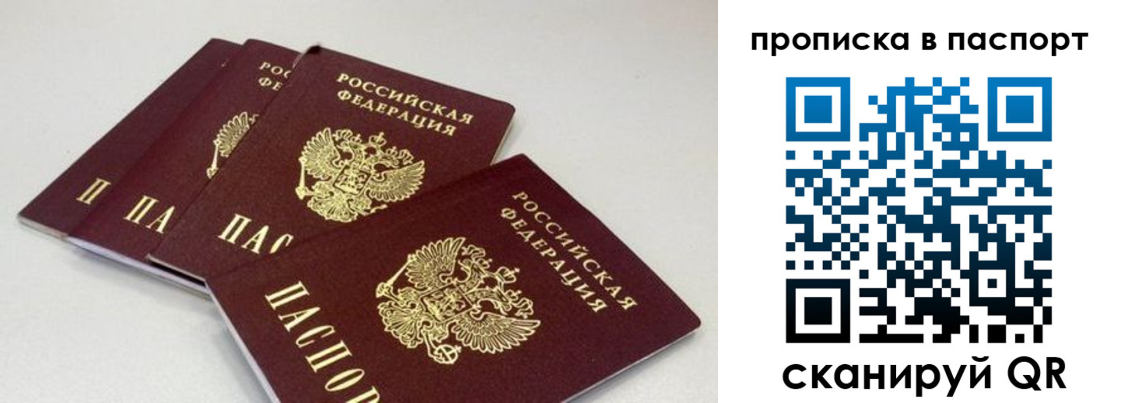 найти адрес прописки в Луге